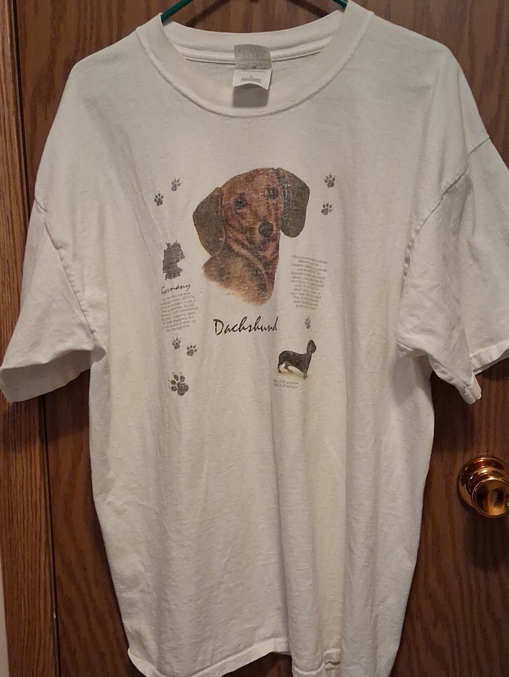 White Dachshund Graphic Dog T-Shirt